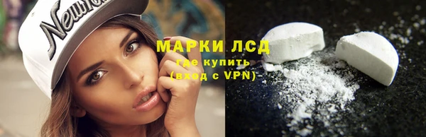 гидра Алексин