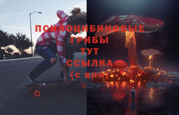 прущие крисы Алзамай